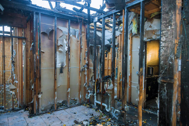 Professional Fire Damage Removal technician working in Mount Pleasant, IA